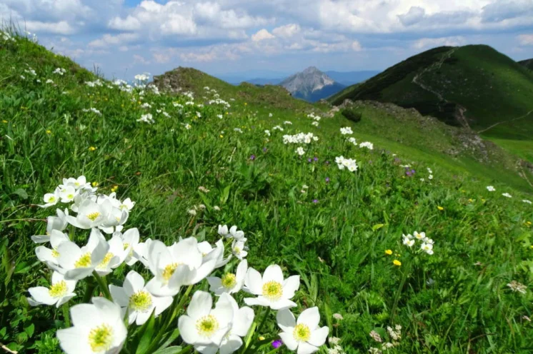Reisebild: Naturreise Malá Fatra – Wildnis im Herzen Europas