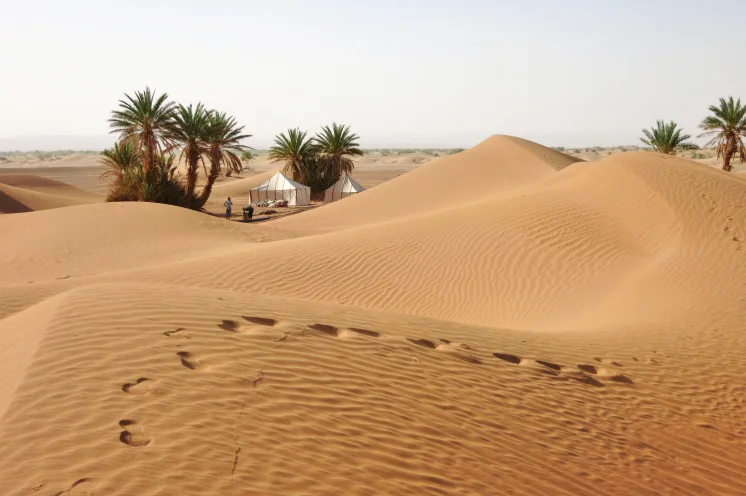 Reisebild: Intensives Wüstenerlebnis und Sternstunden aus 1001 Nacht